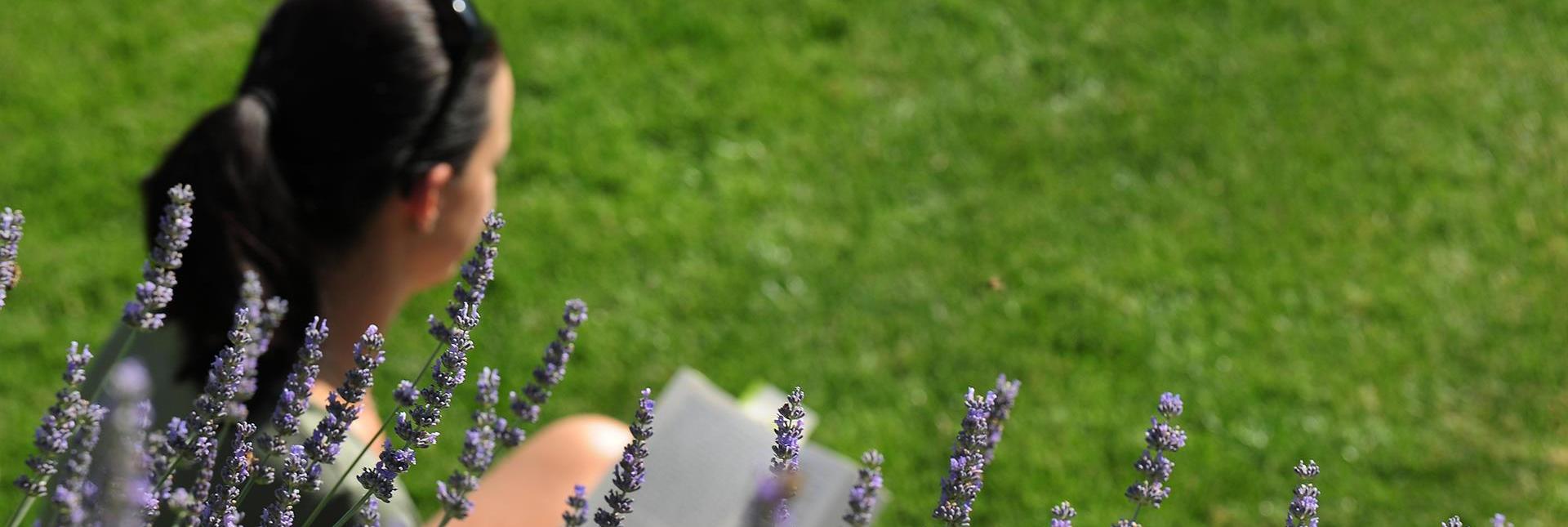 A woman is sitting on a blooming meadow and reading